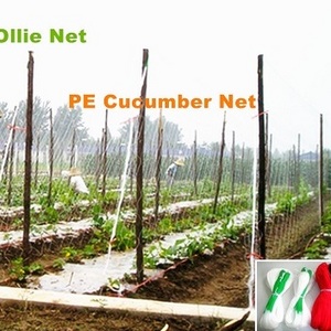 Plant Climbing net. cucumber net.support net