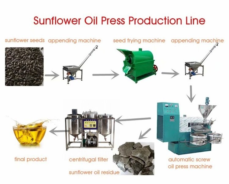 PENG MEI screw corn oil extraction machine/sacha inchi oil press machine/machine for sunflower oil extraction