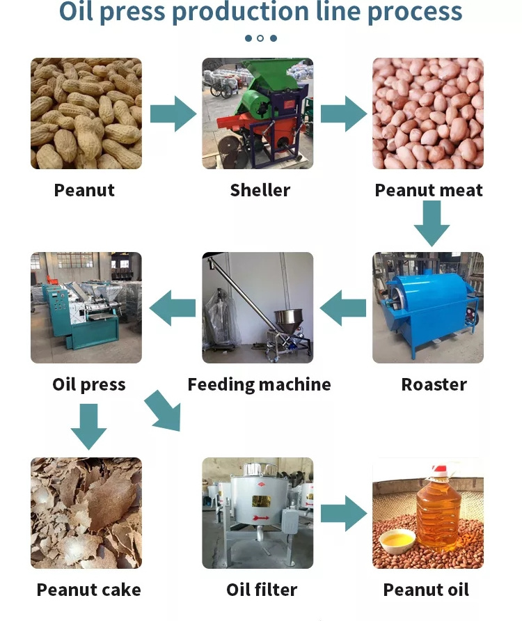 PENG MEI screw corn oil extraction machine/sacha inchi oil press machine/machine for sunflower oil extraction