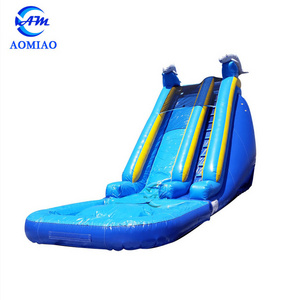 Heavy Duty Inflatable Water Slide Dolphin Pool Nip Slip On A Water Slide