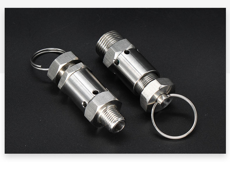 Stainless Steel Relief Valve Beer Brewing Equipment Spring Safety Valve 1/4