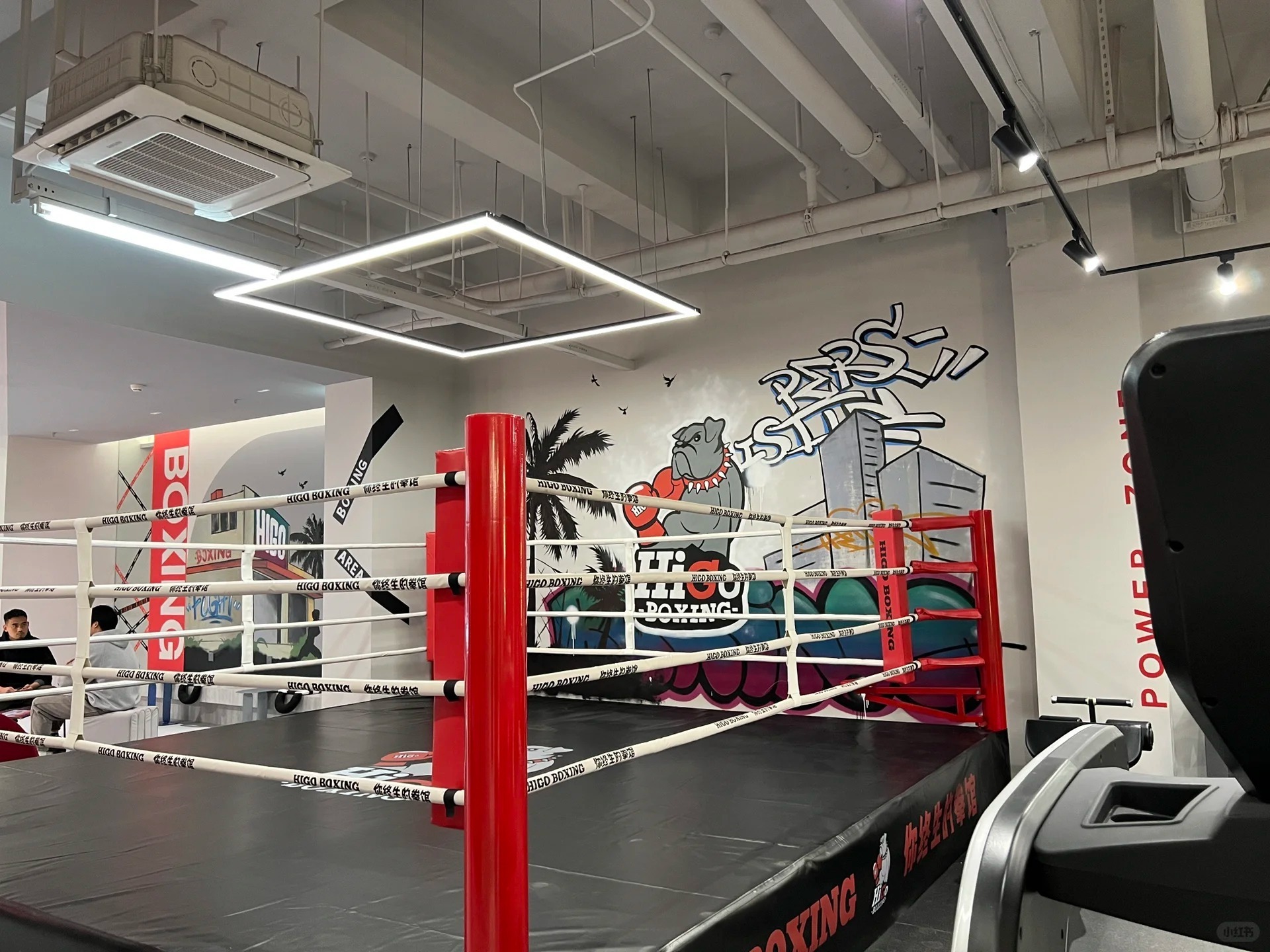 Excellent quality boxing ring price floor level boxing ring for sale