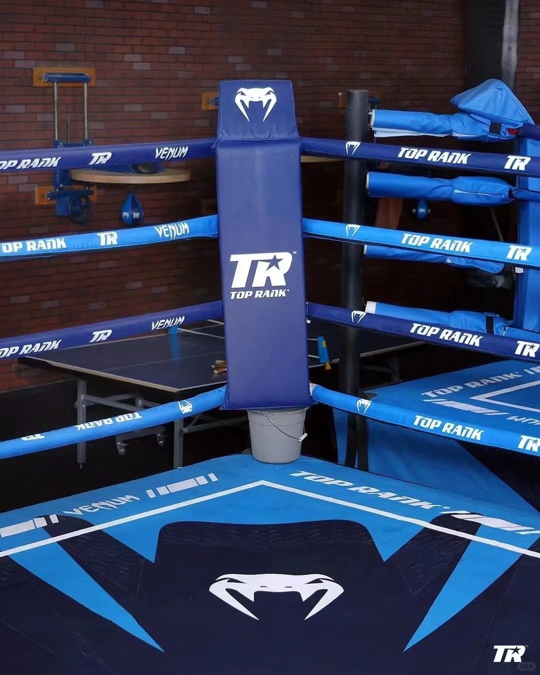 high quality boxing fitness gym station boxing ring for sale