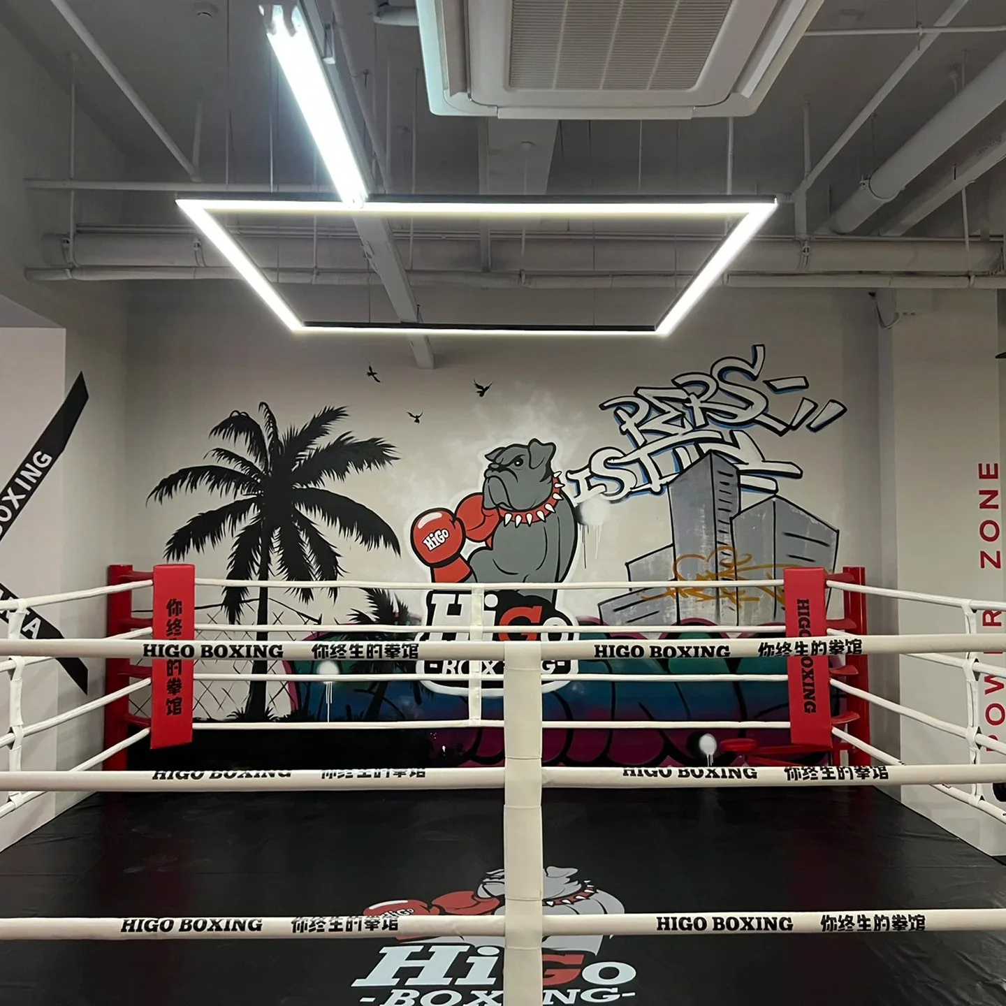 Excellent quality boxing ring price floor level boxing ring for sale