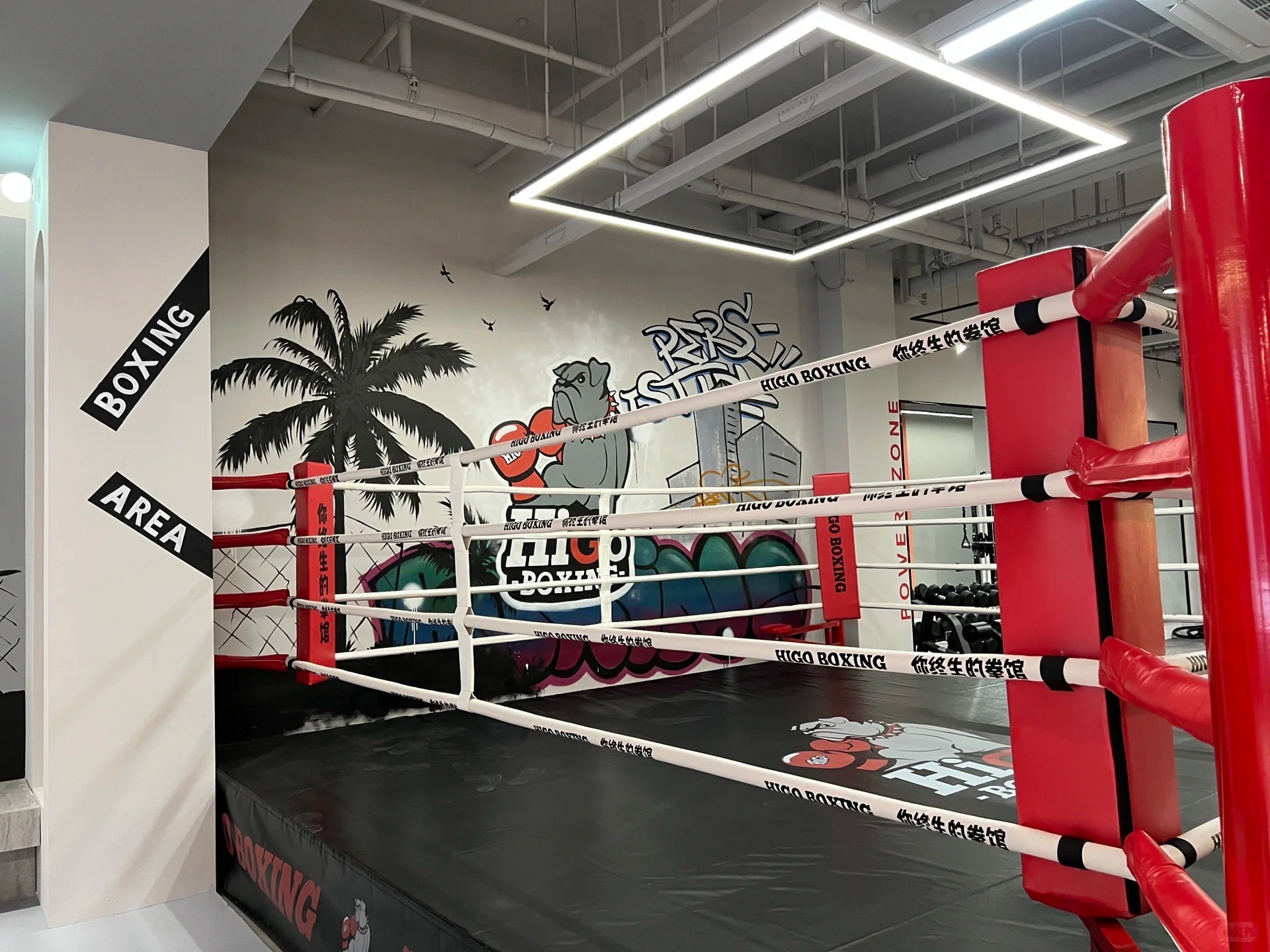 Excellent quality boxing ring price floor level boxing ring for sale