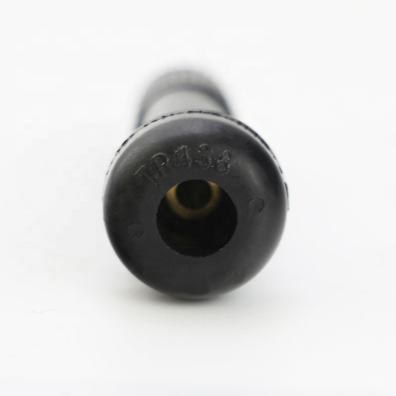 TR438 Diameter 8.8MM Copper Snap-in Rubber Tubeless Tire Valves Wheel Rim Stem EPDM Tyre Nipples Plastic Valve Cap Brass Core