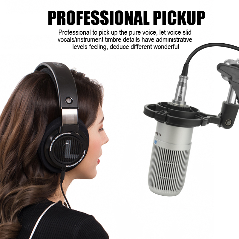 DAYMIC Professional Large diaphragm Microphone With sound card for Broadcasting Musical instrument recording