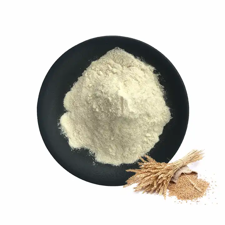 China supply bulk 25kg factory price vital wheat gluten powder