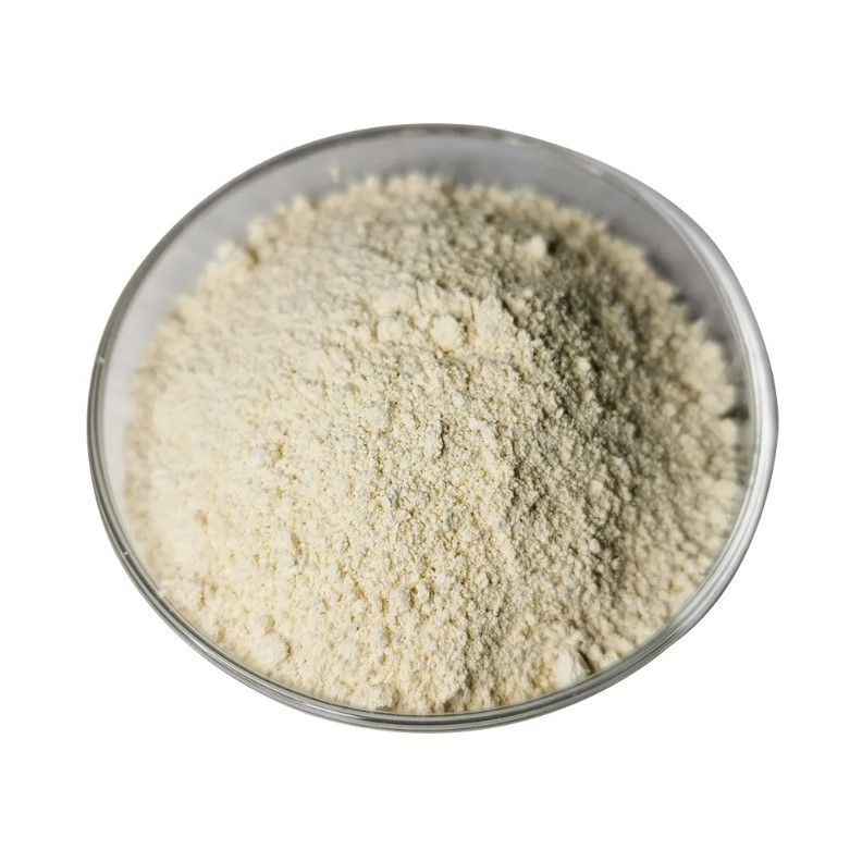 Wholesale Price Top-quality Organic Soy Bean Isolate protein Powder Hydrolyzed Soy Protein Isolate Powder