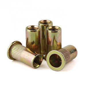 Hot selling Big round flat head knurled body rivet nut with color zinc plated