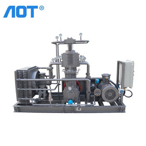 AOT Compressor Manufacturer Home CNG Filling Compressor Small Diaphragm Compressor