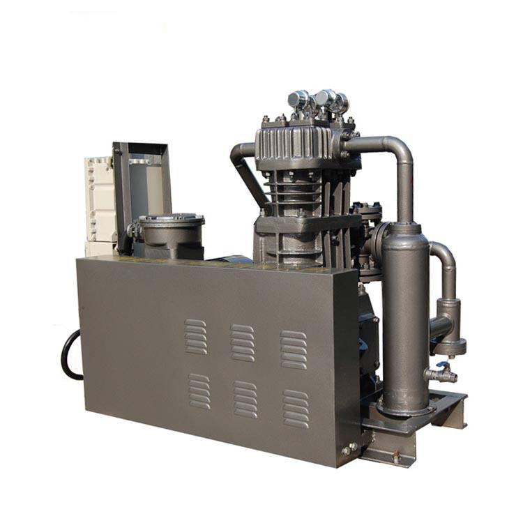 Multi Function High Pressure Inlet Discharge Pressure 70Bar Flow Capacity Digital Hydrogen Piston Compressors