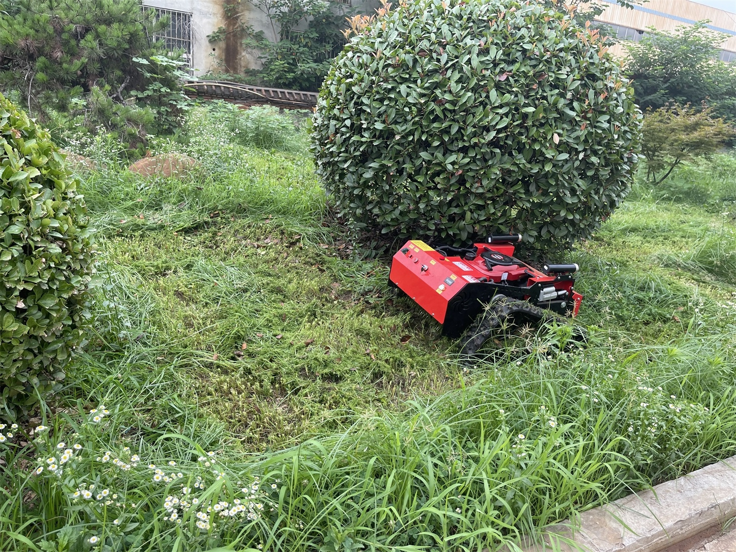 High Quality Grass Cutting Machine Crawler Brush Cutter For Agriculture electric remote control