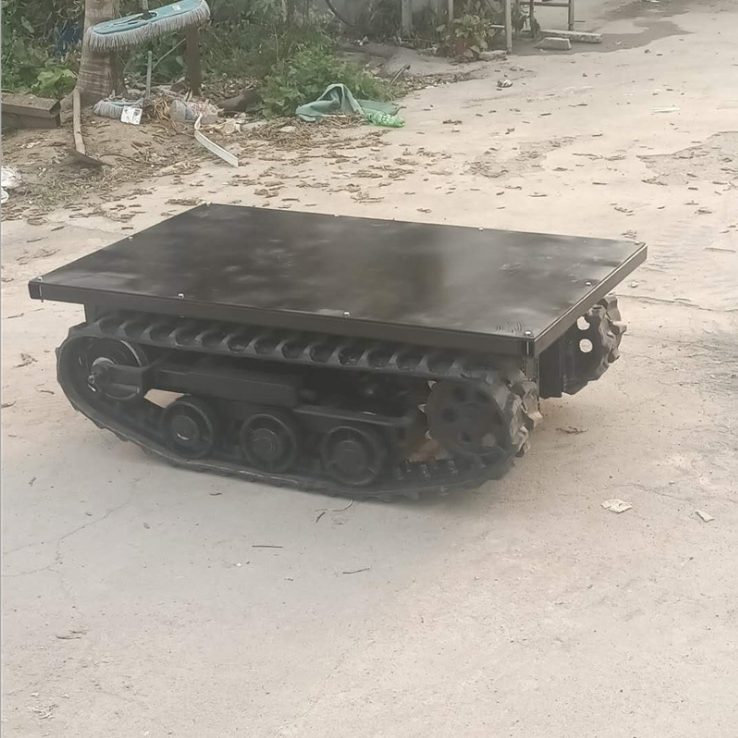 Customized Steel Crawler Track Undercarriage/Track Chassis/Track System