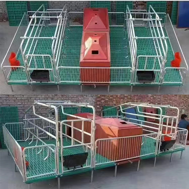 pig farm equipment stall system farrowing crate