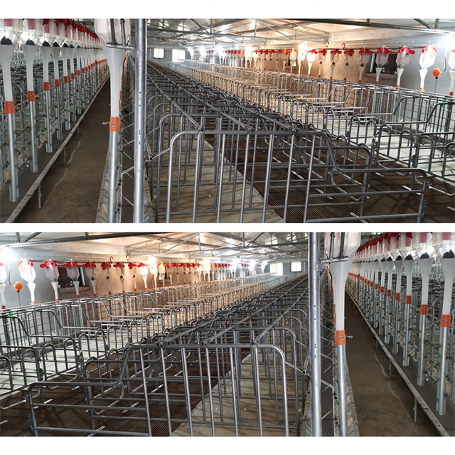 low price farming pig sow hog gestation crate pig stall