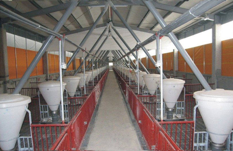 AXF-10 Piggery Hog Farming Equipment fattening pigs Feeder dry wet feeding trough automatic timed feeder pig