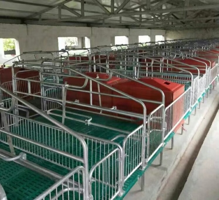 pig farm equipment stall system farrowing crate