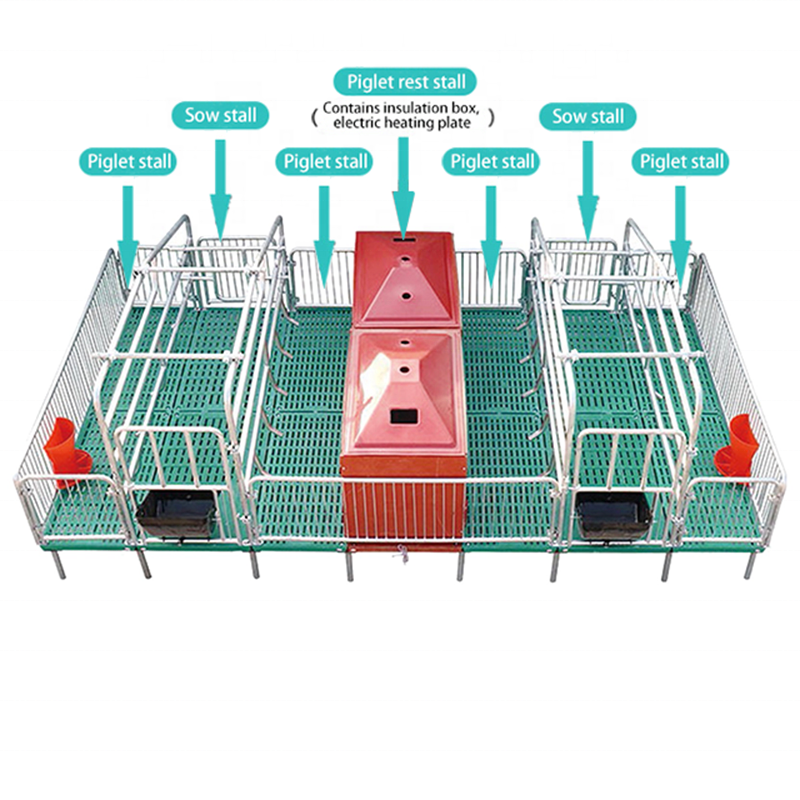 pig farm equipment stall system farrowing crate