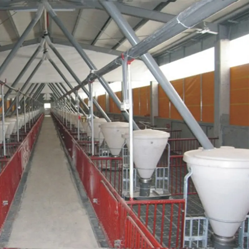 animal automatic feeders stainless steel plastic trough hopper water feeder trough for pig wet dry feeder