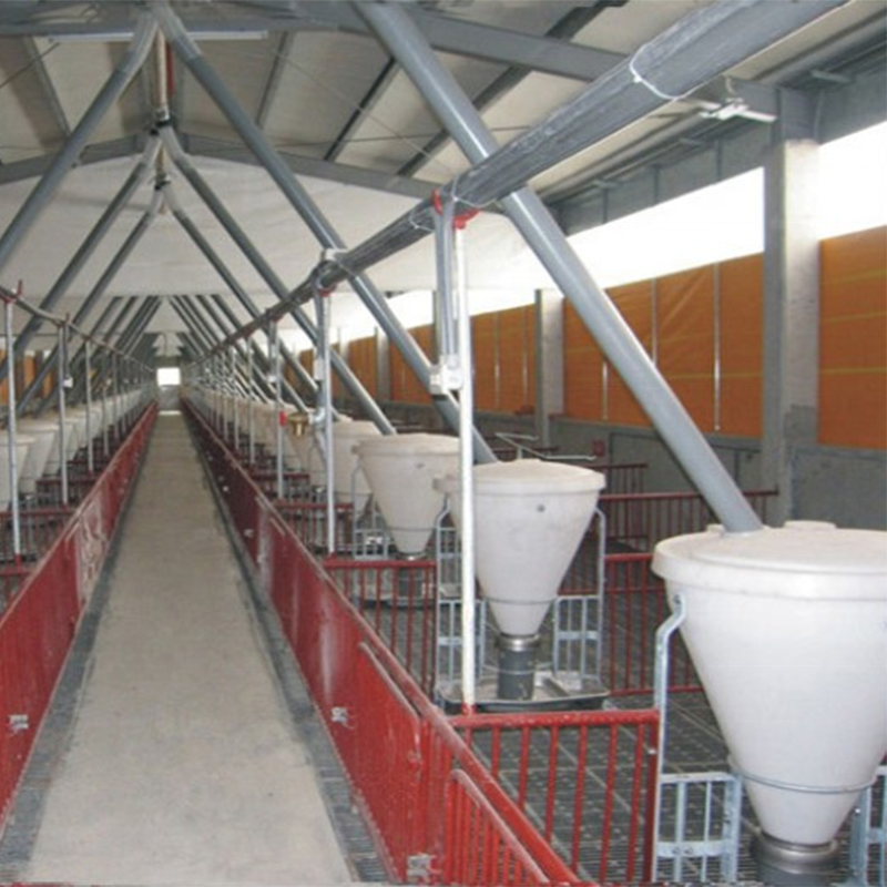 pig dry and wet automatic feeder for conservation and fatten for pigs hog dry and wet feeder