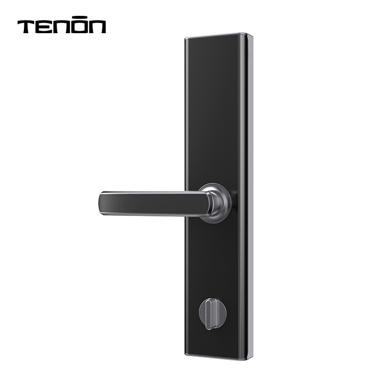 Home Keyless Entrance Door Lock Electric Slim Double-side Fingerprint Smart Door Lock One Time Password