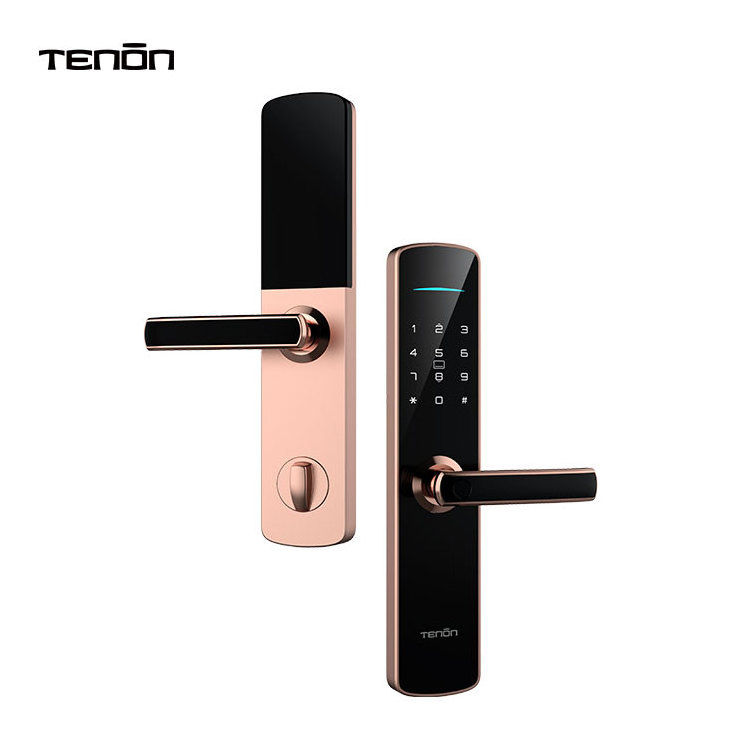 Apartment Tuya APP Password Digital Smart Locks Dead Bolt Security Electric Keyless Fingerprint Smart Door Lock Homekit