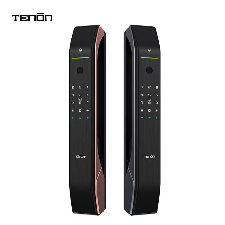 Hot Sale Automatic Digital Luxury Smart Lock Tuya Remote Control Anti Theft Electronic Fingerprint Password Card Smart Door Lock