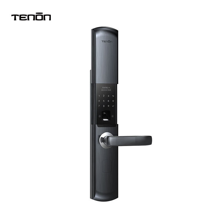 Tenon Home Security Sliding Cover Electronic Keyless Entry Door Locks Password Double Finger Print Digital Handle Lock