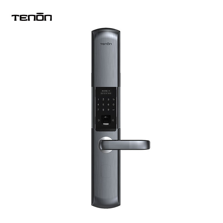 Tenon Home Security Sliding Cover Electronic Keyless Entry Door Locks Password Double Finger Print Digital Handle Lock