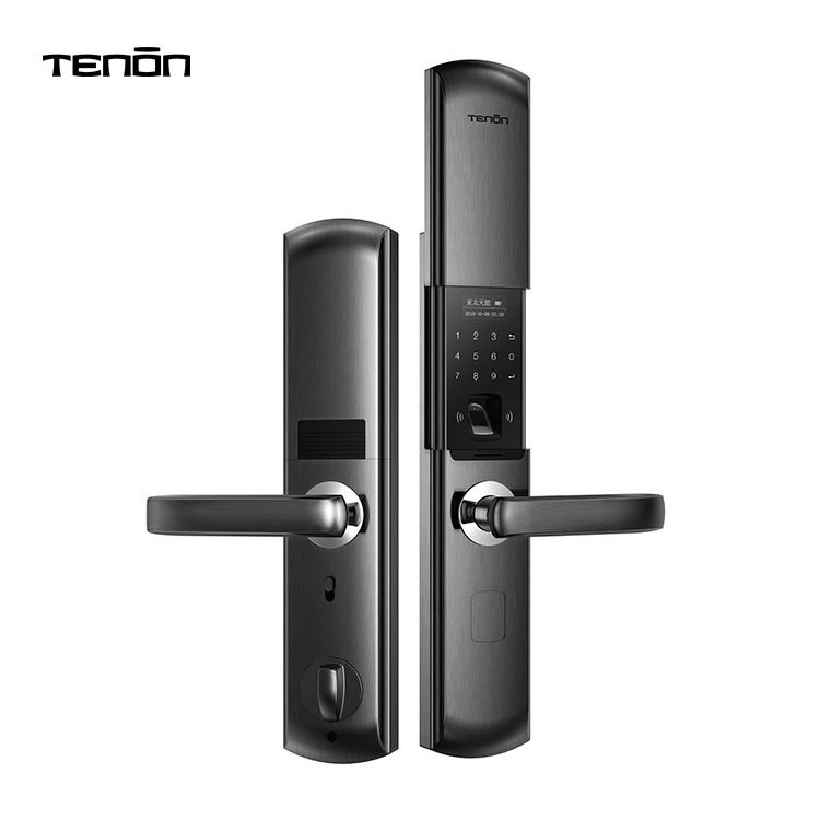 Tenon Home Security Sliding Cover Electronic Keyless Entry Door Locks Password Double Finger Print Digital Handle Lock