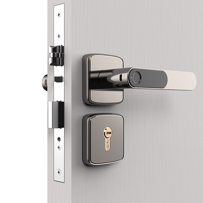 Popular Intelligent Fingerprint Deadbolt Gate Lock Outdoor Smart Black Electronic Keyless Smart Door Handles And Locks