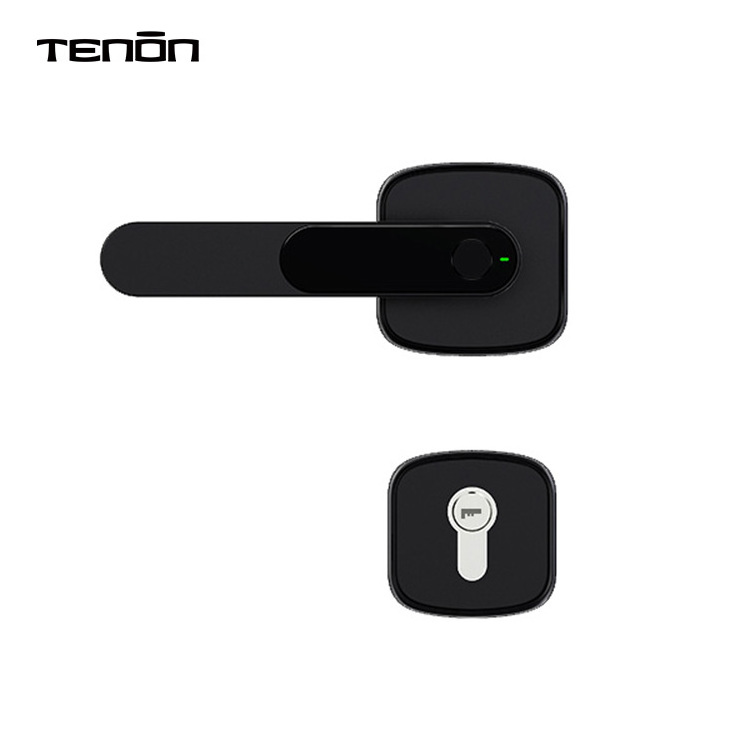 Popular Intelligent Fingerprint Deadbolt Gate Lock Outdoor Smart Black Electronic Keyless Smart Door Handles And Locks