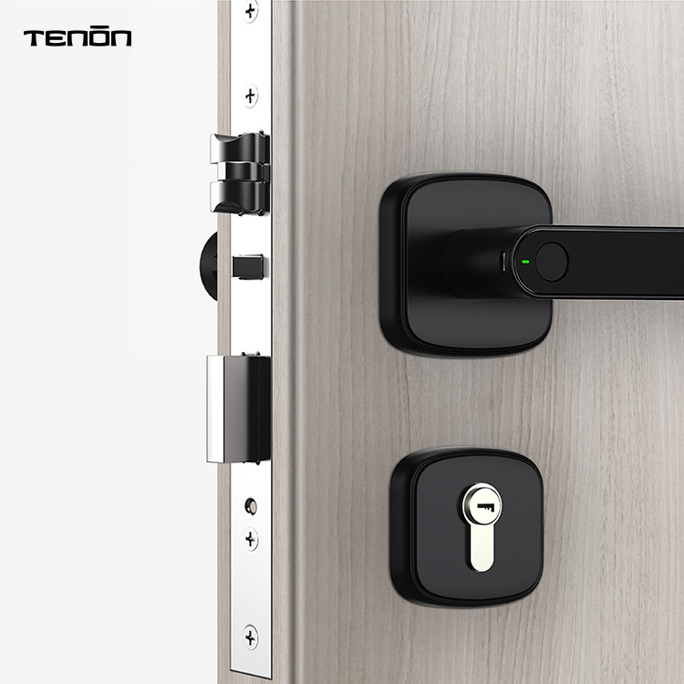 Popular Intelligent Fingerprint Deadbolt Gate Lock Outdoor Smart Black Electronic Keyless Smart Door Handles And Locks