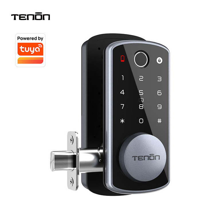 European Standard Tuya App Control Digital Code Smart Lock Door Smart Keyless Biometric Fingerprint Deadbolt Lock