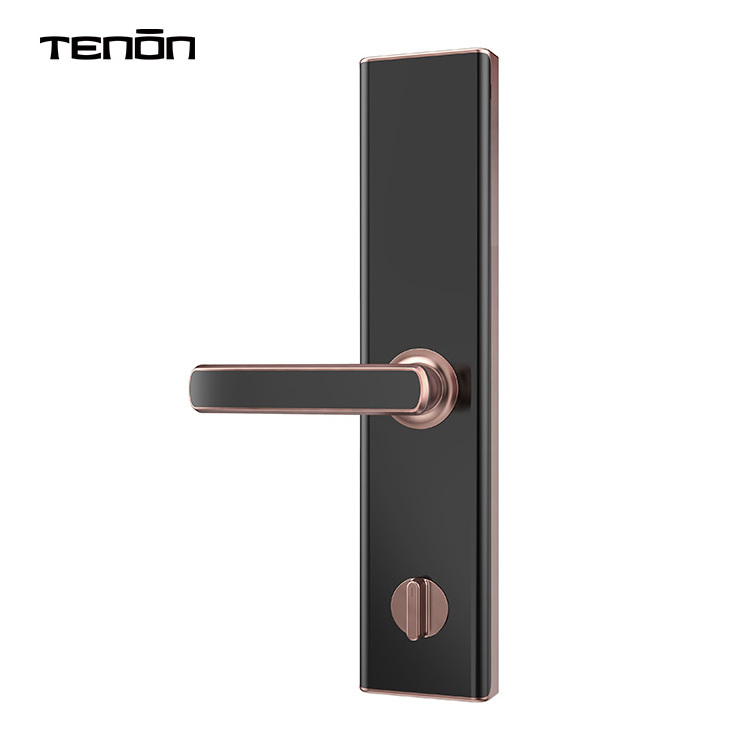 Home Keyless Entrance Door Lock Electric Slim Double-side Fingerprint Smart Door Lock One Time Password