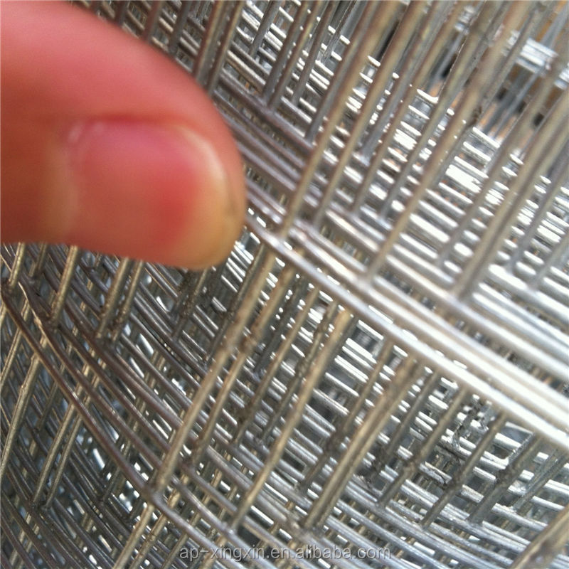 welded wire mesh for mice, 1x1 inch Aperture Galvanized welded wire mesh (I - 007)