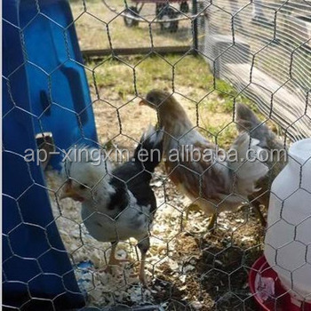 rooster cage for sale/cock cage/dog cage