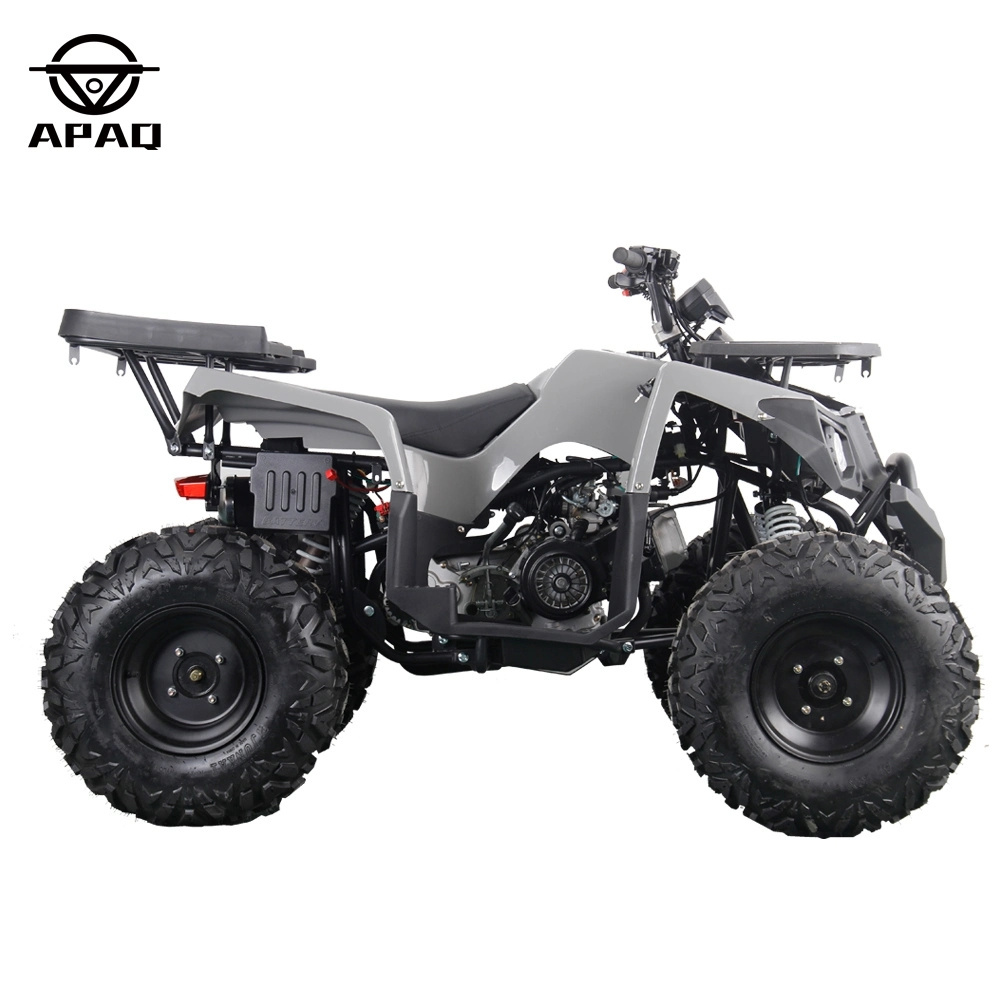 APAQ 200cc GY6 CVT automatic ATV quad bike