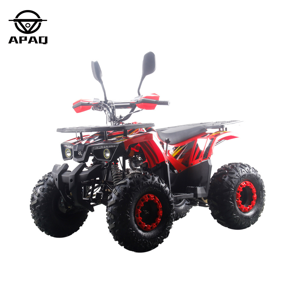 4 Wheels Powerful 125cc Quads Quad Bikes for Children and Adult Steel 12V Automatic 8 Inch Steel Wheel Electric Atv 1500w 6inch