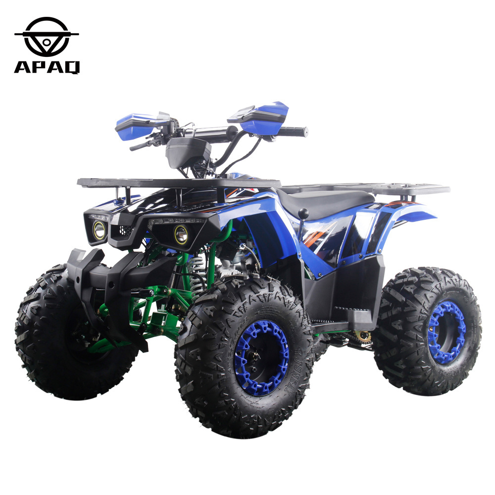 4 Wheels Powerful 125cc Quads Quad Bikes for Children and Adult Steel 12V Automatic 8 Inch Steel Wheel Electric Atv 1500w 6inch