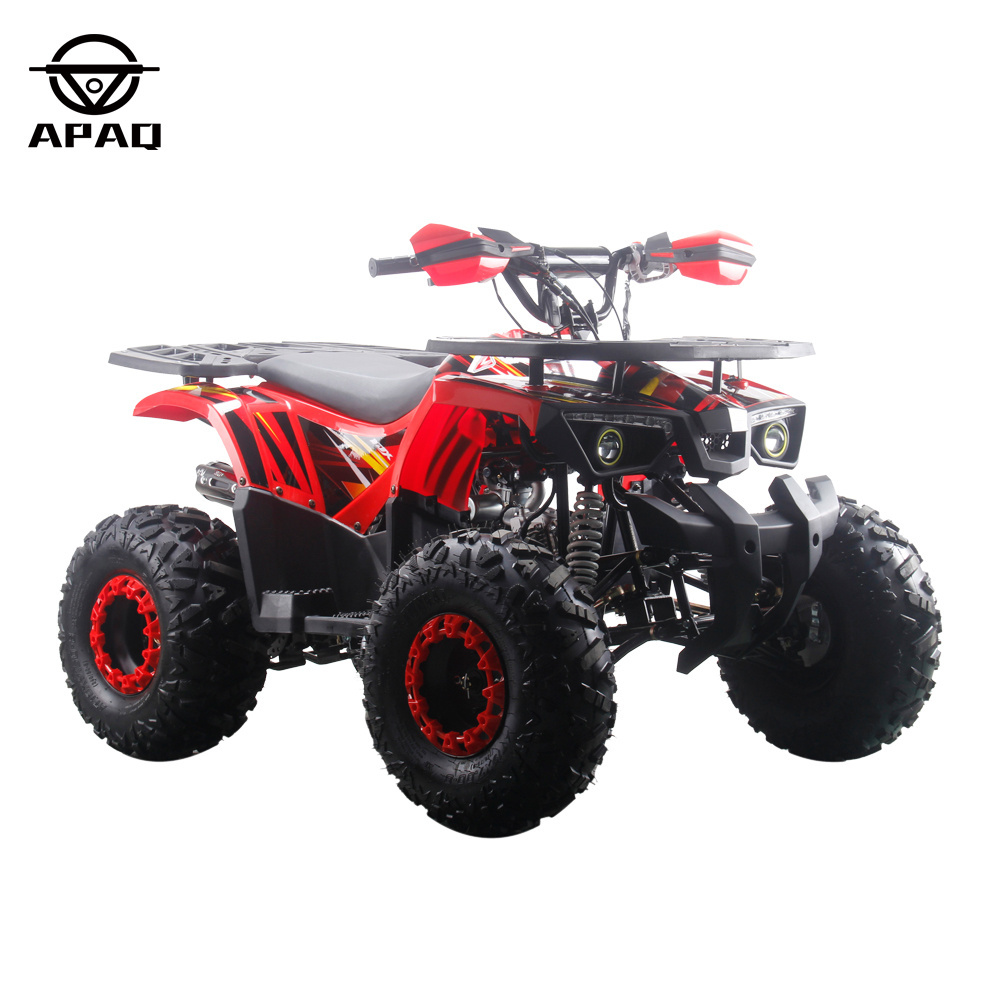 4 Wheels Powerful 125cc Quads Quad Bikes for Children and Adult Steel 12V Automatic 8 Inch Steel Wheel Electric Atv 1500w 6inch