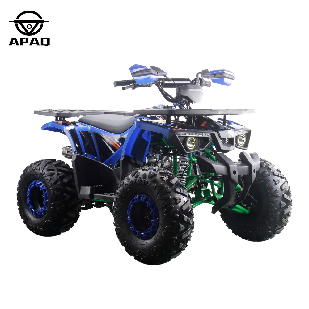 4 Wheels Powerful 125cc Quads Quad Bikes for Children and Adult Steel 12V Automatic 8 Inch Steel Wheel Electric Atv 1500w 6inch