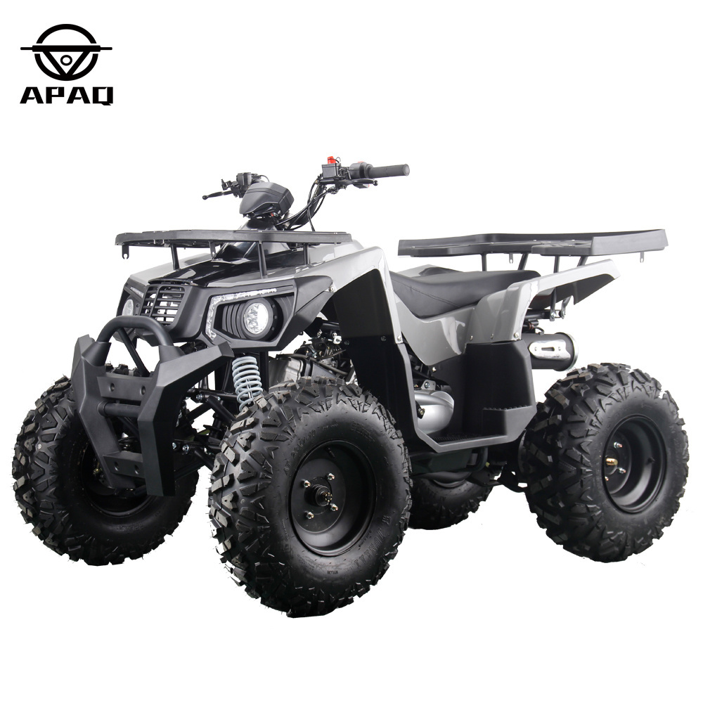 Ten Inch Tire Big Powerful ATV 200cc Quad 4 Stroke Four Wheels 2023 APAQ