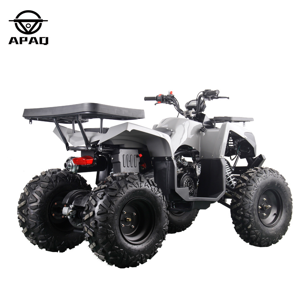 Ten Inch Tire Big Powerful ATV 200cc Quad 4 Stroke Four Wheels 2023 APAQ