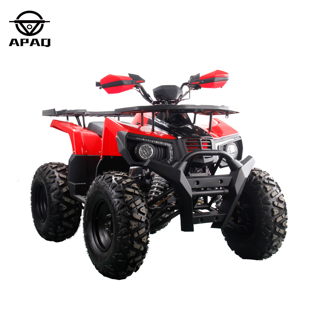 Ten Inch Tire Big Powerful ATV 200cc Quad 4 Stroke Four Wheels 2023 APAQ