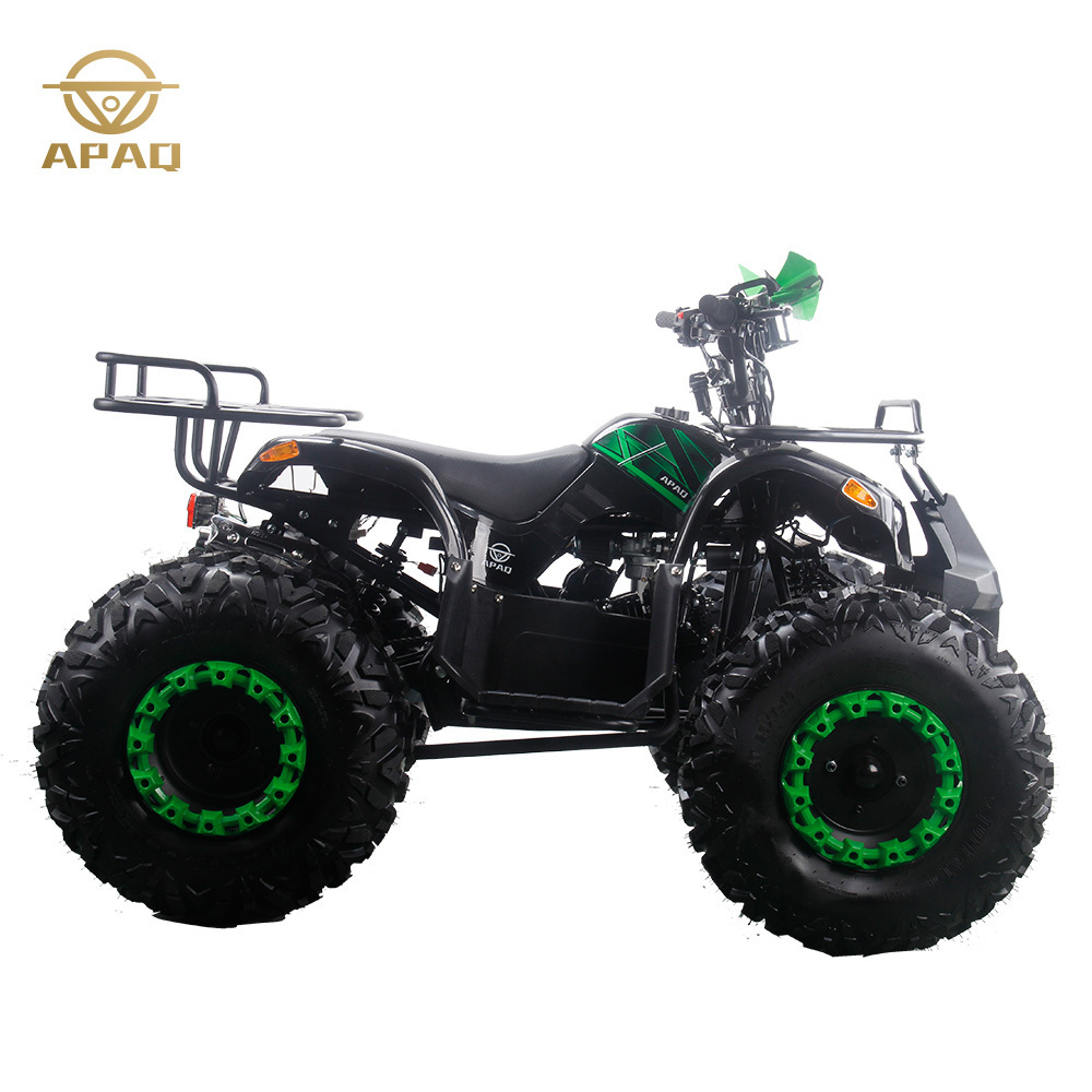 2023 buggy atv quad adult atvs 4 wheeler 125cc 4 stroke mini ATV with CE