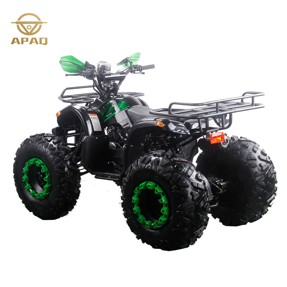 2023 buggy atv quad adult atvs 4 wheeler 125cc 4 stroke mini ATV with CE