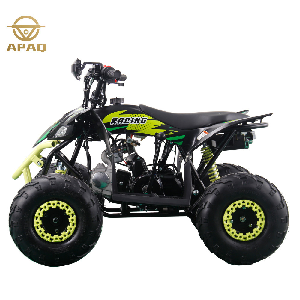 Atv Quad 110cc Quad Bike Popular Cheap Chinese 4 Stroke Automatic Tool to Build 1 Motorcycle to 4 Wheels ZHEJIANG, China CDI 2WD