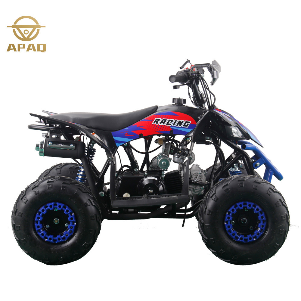 110cc ATV Quad Electric Quad Electric Quad Kids ATV 4 Wheeler